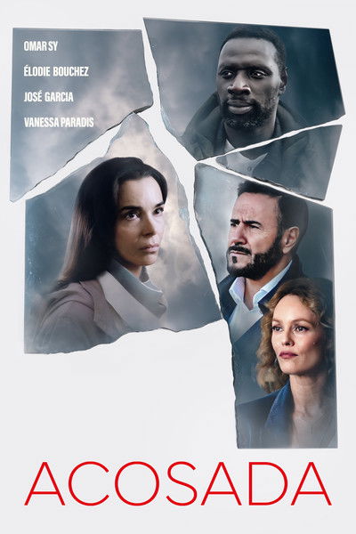 Póster de Acosada