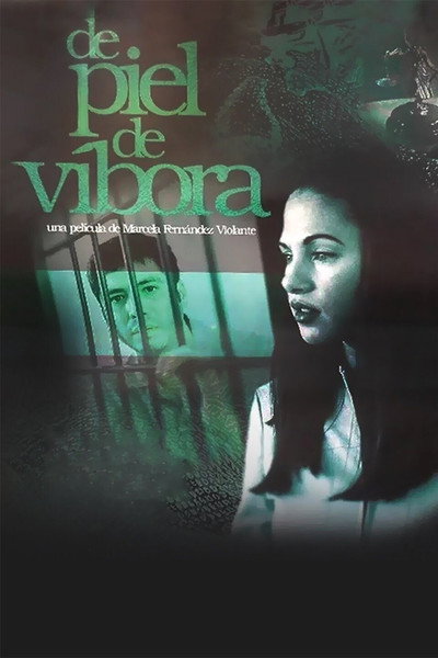 Póster de Acosada