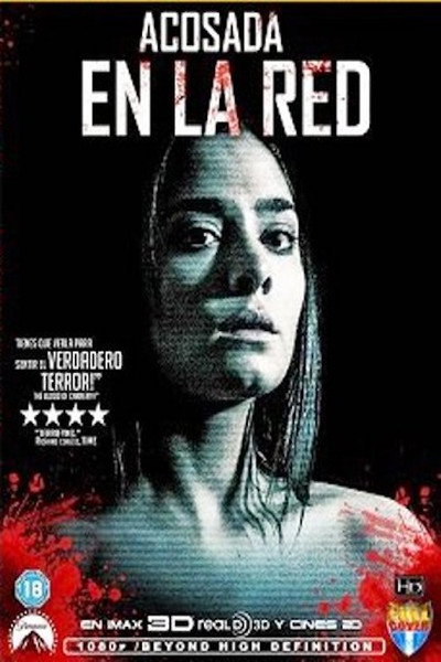 Póster de Acosada en la red