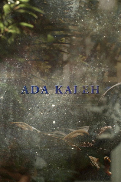Póster de Ada Kaleh