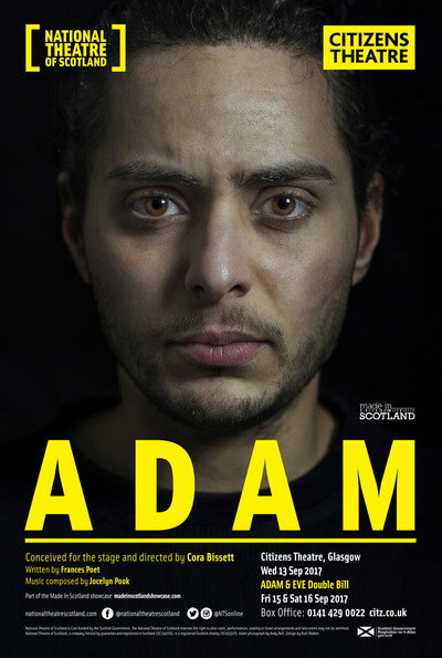 Póster de Adam