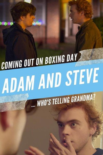 Póster de Adam and Steve