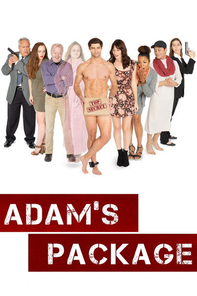 Póster de Adam's Package