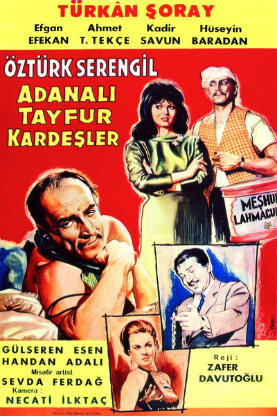 Póster de Adanali Tayfur kardesler
