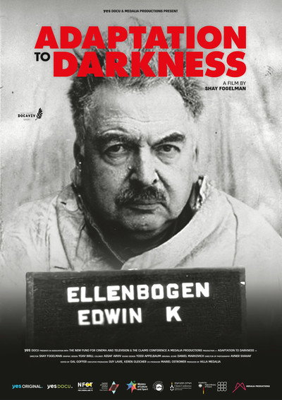Póster de Adaptation to Darkness