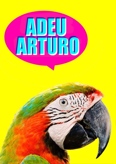 Póster de Adeu, Arturo