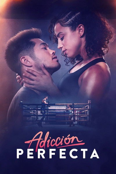 Póster de Adicción perfecta