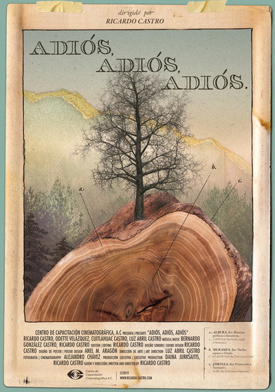 Póster de Adiós, adiós, adiós