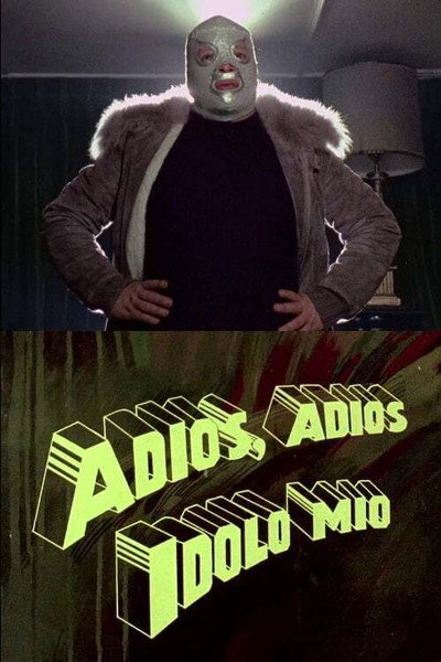 Póster de Adiós, adiós idolo mio