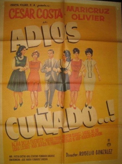 Póster de ¡Adios cuñado!
