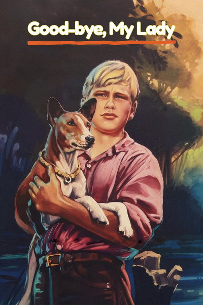 Póster de Adiós Lady