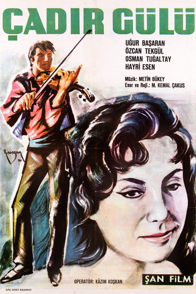 Póster de Çadir gülü