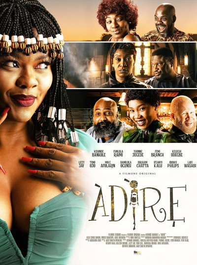 Póster de Adire