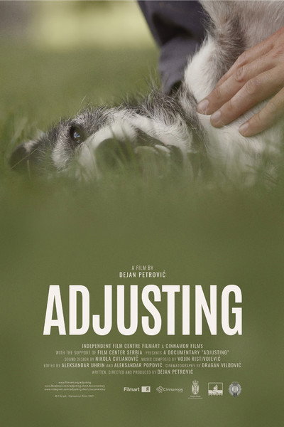 Póster de Adjusting