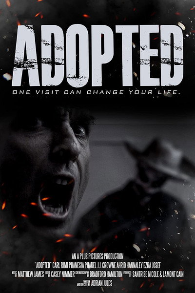 Póster de Adopted