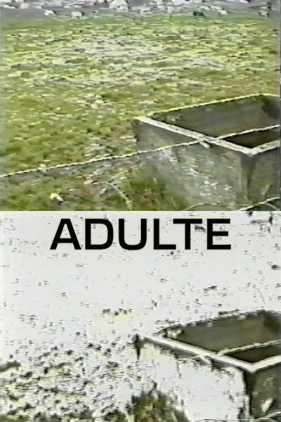 Póster de Adulte