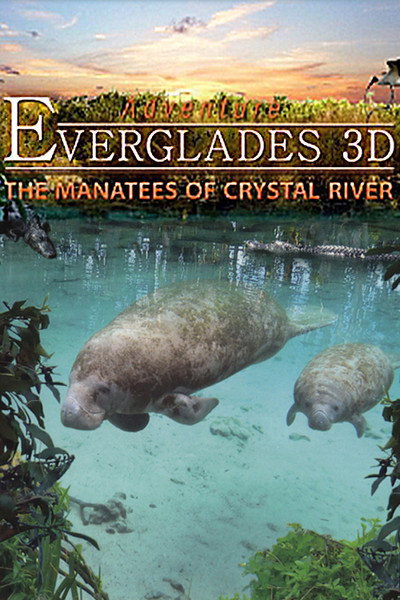 Póster de Adventure Everglades 3D - The Manatees of Crystal River