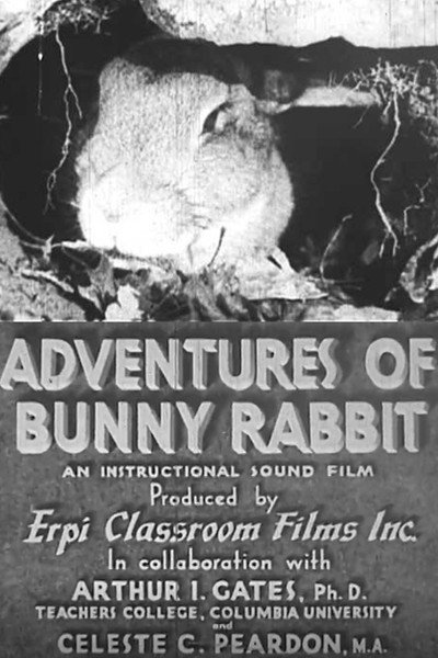 Póster de Adventures of Bunny Rabbit