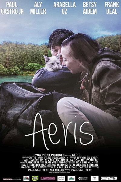 Póster de Aeris