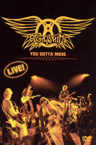 Póster de Aerosmith: You Gotta Move
