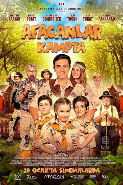 Póster de Afacanlar Kampta