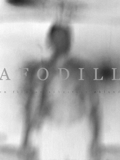 Póster de Afodill