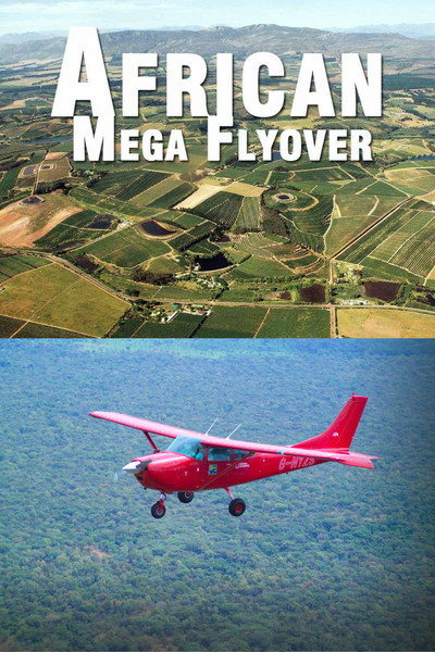 Póster de African Megaflyover