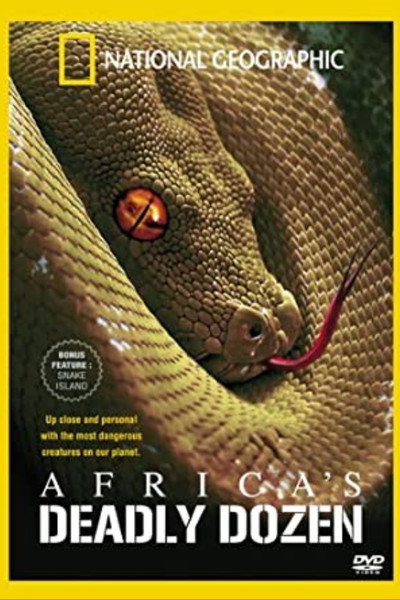 Póster de Africa's Deadly Dozen