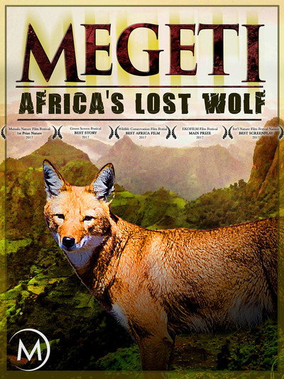 Póster de Africa's Lost Wolves