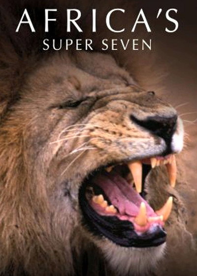 Póster de Africa's Super Seven