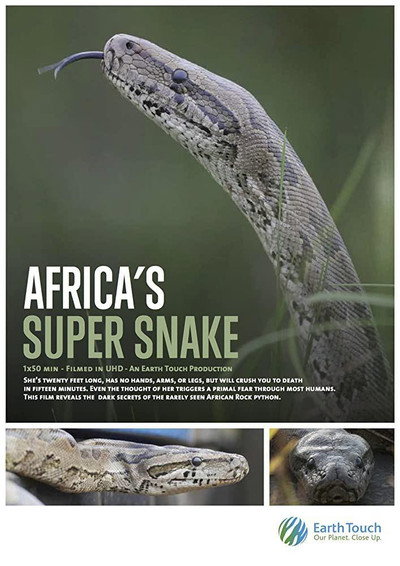 Póster de Africa's Super Snake