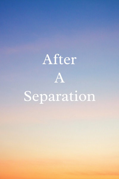 Póster de After a Separation