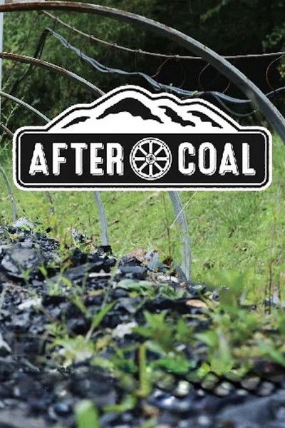 Póster de After Coal: Welsh and Appalachian Mining Communities