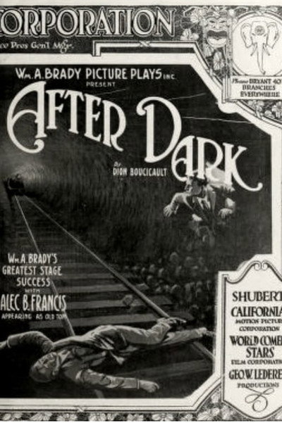 Póster de After Dark