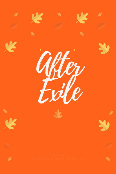 Póster de After Exile