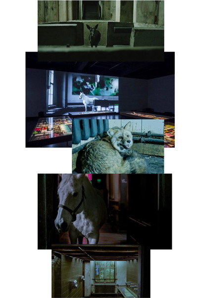 Póster de After Hours
