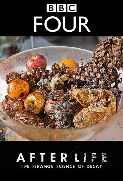 Póster de After Life: The Strange Science of Decay