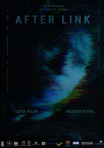 Póster de After Link