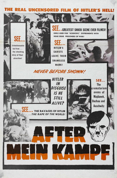 Póster de After Mein Kampf