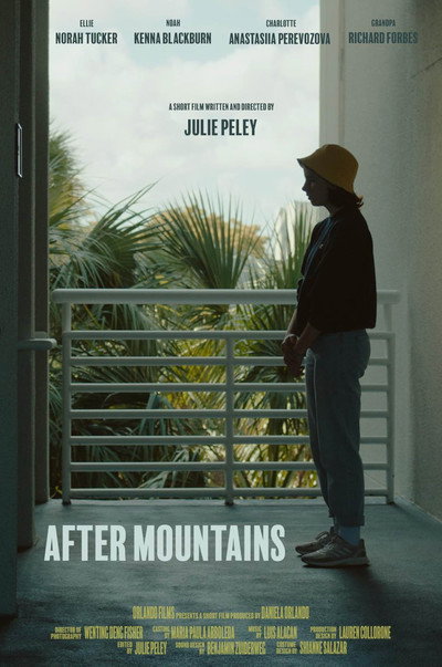Póster de After Mountains