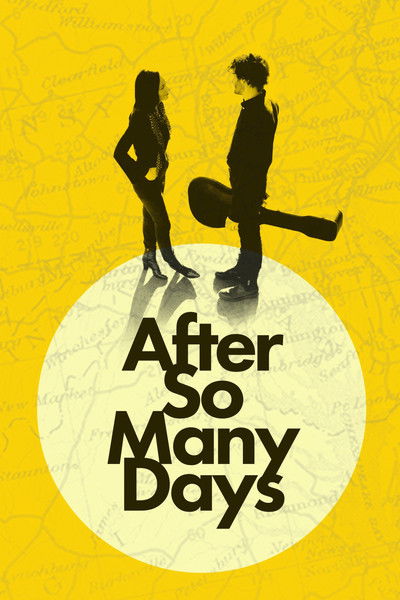 Póster de After So Many Days