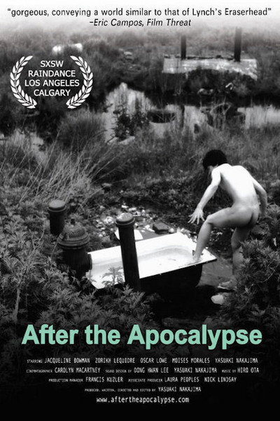 Póster de After the Apocalypse