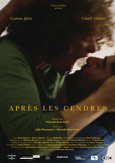 Póster de After the Ashes