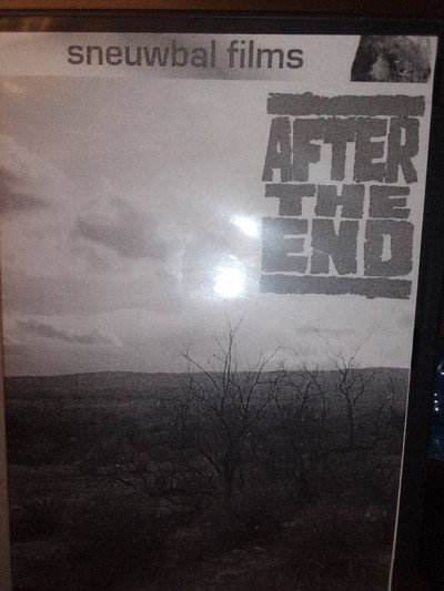 Póster de After the End