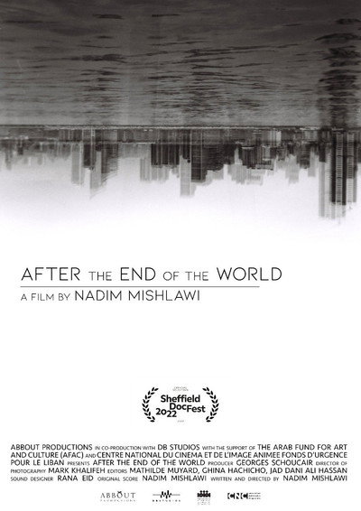 Póster de After the End of the World
