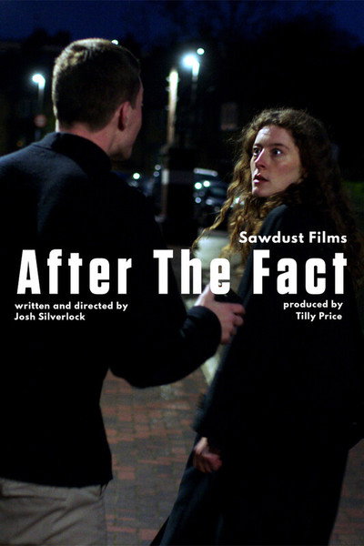 Póster de After the Fact