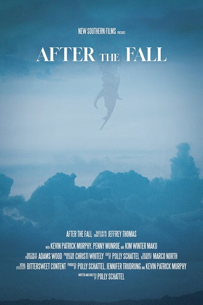 Póster de After the Fall