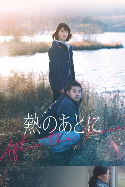Póster de After the Fever