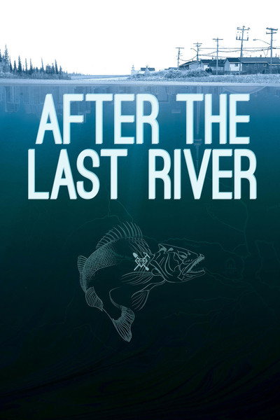 Póster de After the Last River