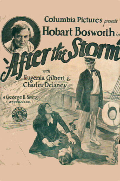 Póster de After the Storm